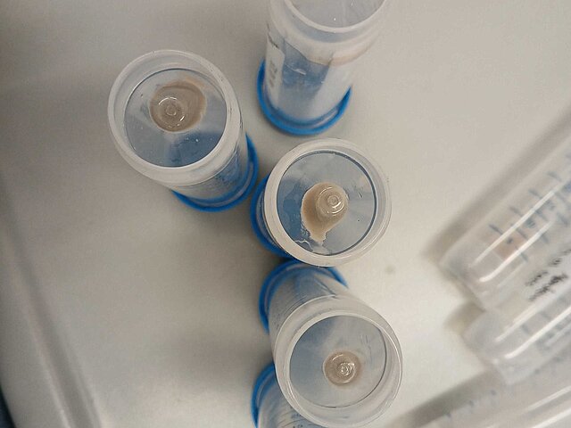 Unvollständig gelöste Bodenprobe mit Rückständen