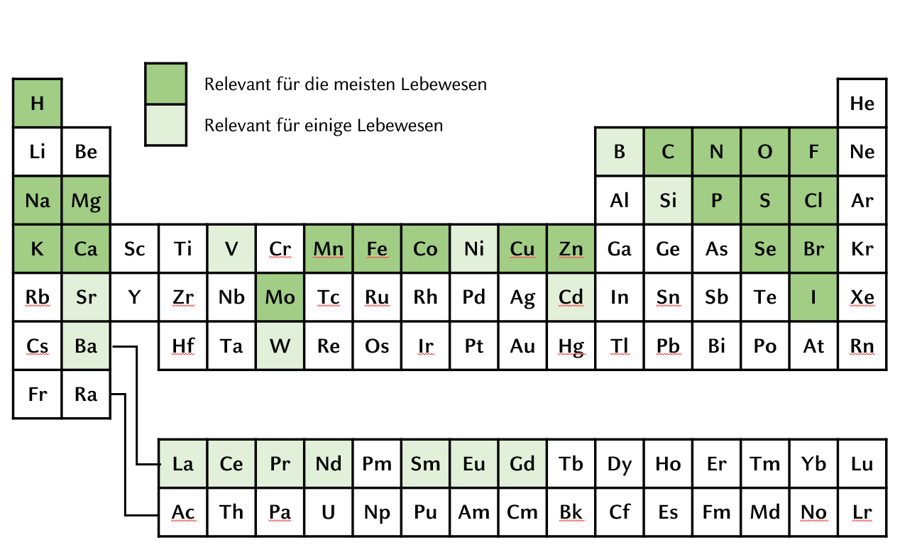 Periodensystem, biologische Relevanz farblich markiert